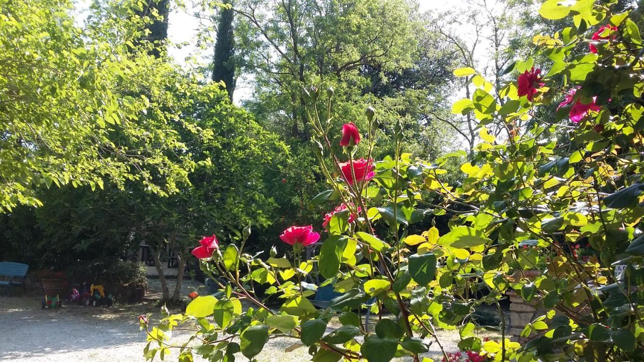 Agriturismo Alle Rose ヴォルテッラ エクステリア 写真