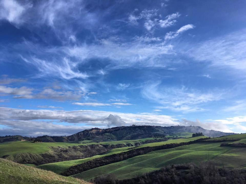 Agriturismo Alle Rose ヴォルテッラ エクステリア 写真