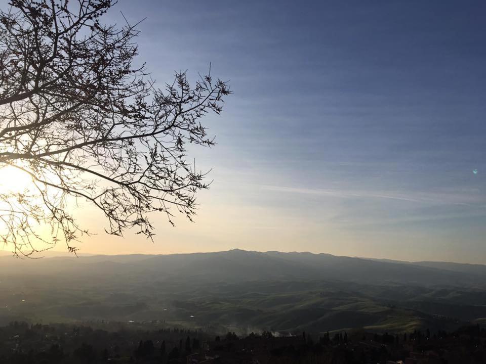 Agriturismo Alle Rose ヴォルテッラ エクステリア 写真
