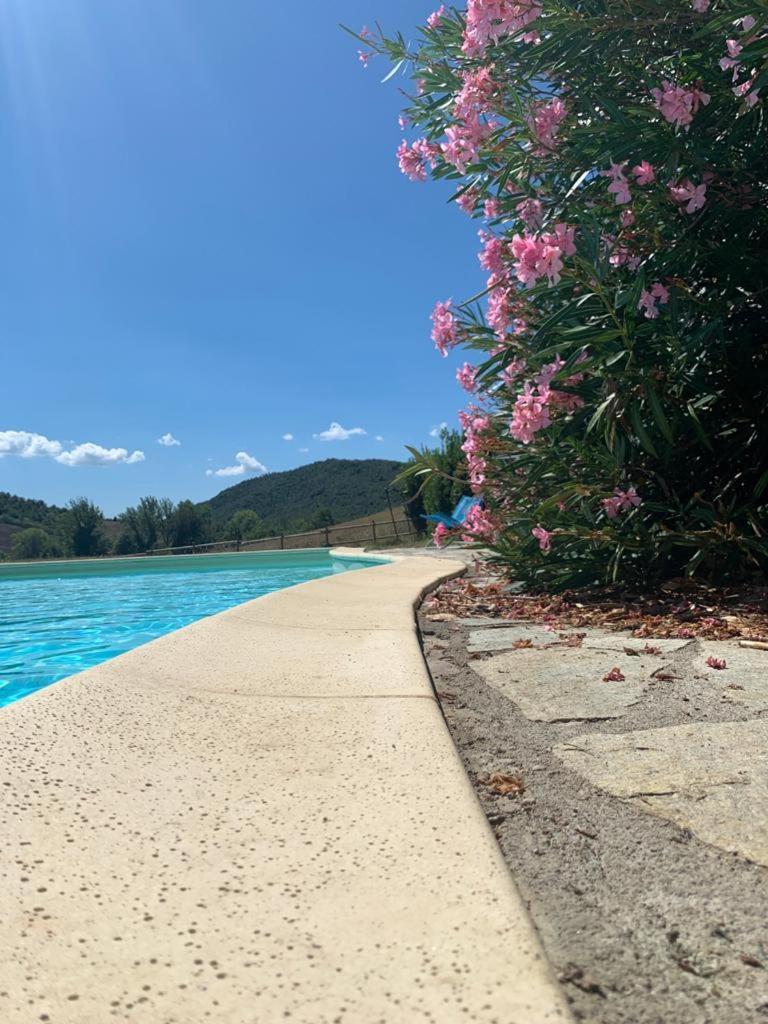 Agriturismo Alle Rose ヴォルテッラ エクステリア 写真