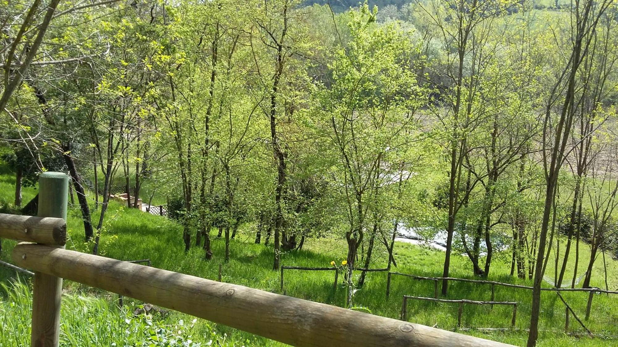 Agriturismo Alle Rose ヴォルテッラ エクステリア 写真