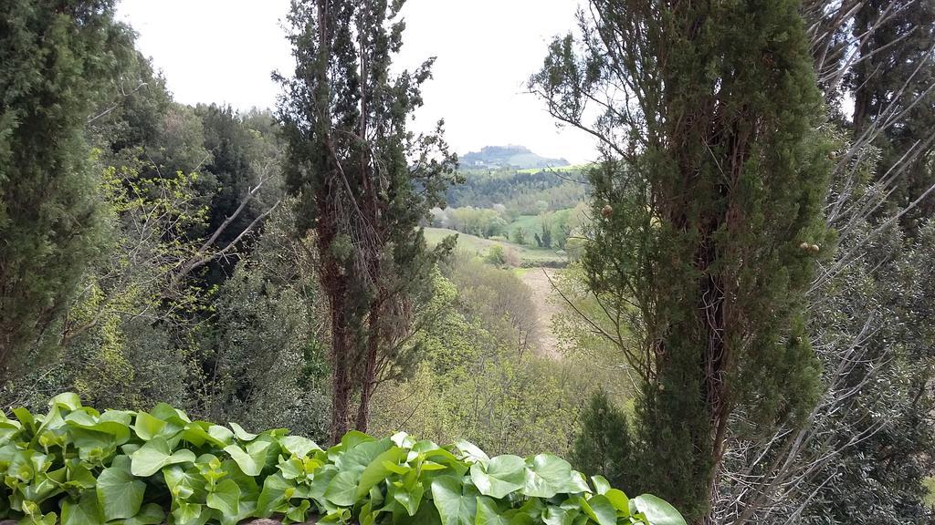 Agriturismo Alle Rose ヴォルテッラ エクステリア 写真
