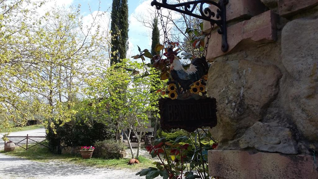 Agriturismo Alle Rose ヴォルテッラ エクステリア 写真
